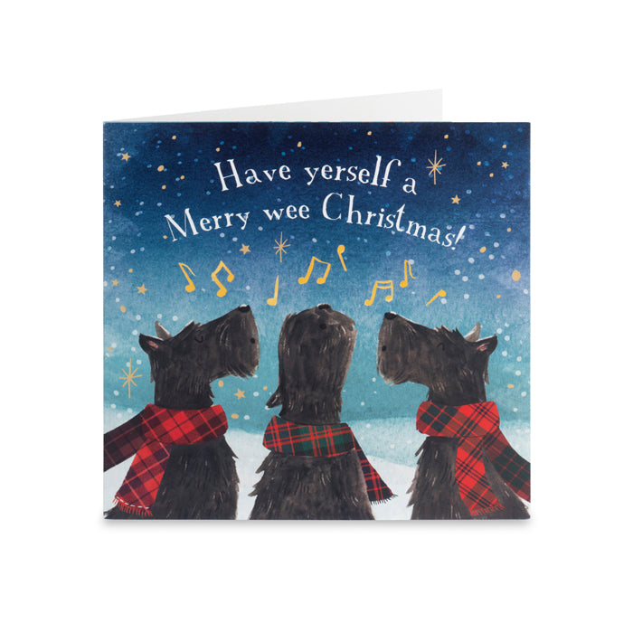 Poppyscotland Multipack Christmas Cards - Pack of 40