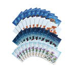 Poppyscotland Multipack Christmas Cards - Pack of 40