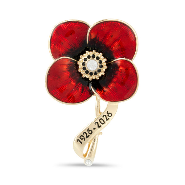 Lady Haig's Poppy Factory 100 Years Brooch